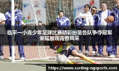 临平一小青少年足球比赛精彩纷呈各队争夺冠军荣耀展现青春风采